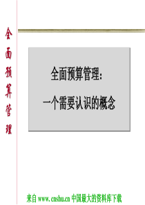 全面预算管理(ppt 37)(1)