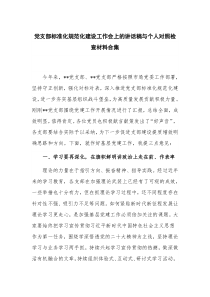 党支部标准化规范化建设工作会上的讲话稿与个人对照检查材料合集