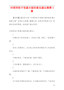 对领导班子党建方面的意见建议集聚3篇