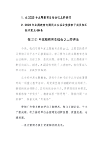 在2023年主题教育总结会议上的讲话和民主生活会党委班子成员相互批评素材2篇