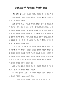 云南显示模块项目财务分析报告