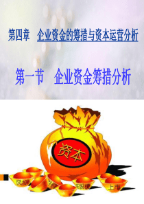 企业资金筹措分析