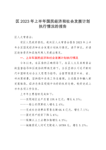 区2023年上半年国民经济和社会发展计划执行情况的报告