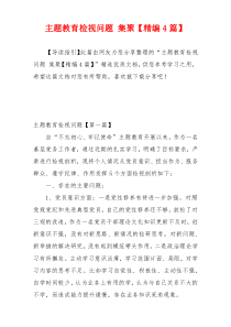 主题教育检视问题 集聚【精编4篇】