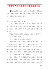 支委个人对照检查材料集聚最新5篇