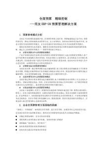 全面预算管理解决方案