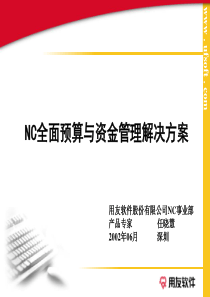 全面预算管理实施方案