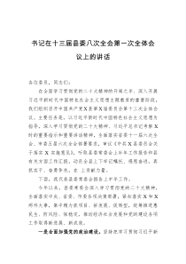 书记在十三届县委八次全会第一次全体会议上的讲话