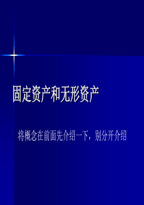 固定资产和无形资产(PPT 34页)