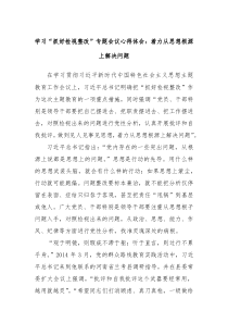 学习抓好检视整改专题会议心得体会着力从思想根源上解决问题