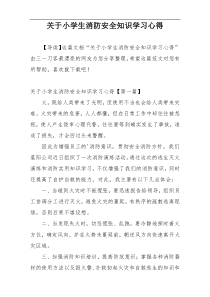 关于小学生消防安全知识学习心得