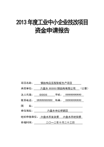 六盘水XXX钢结构有限公司国家专项资金申请报告资料