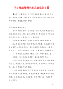 项目推进缓慢表态发言范例3篇