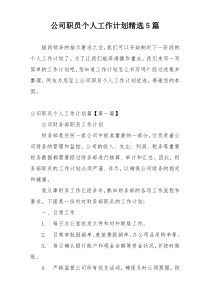 公司职员个人工作计划精选5篇