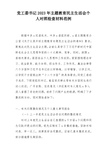 党工委书记2023年主题教育民主生活会个人对照检查材料范例