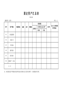 固定资产汇兑表