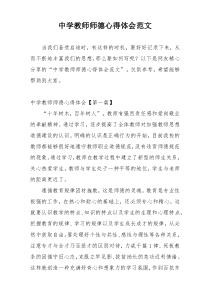 中学教师师德心得体会范文