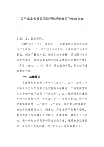 关于落实省委第四巡视组反馈意见的整改方案