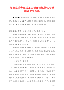 巡察整改专题民主生活会党组书记对照检查发言5篇