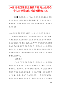 2023巡视反馈意见整改专题民主生活会个人对照检查材料范例精编3篇