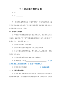 分公司与总公司合作协议(通用版)