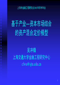 基于产业――资本市场结合的资产混合定价模型