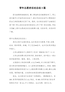 青年志愿者活动总结3篇