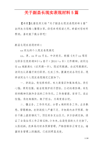 关于副县长现实表现材料5篇