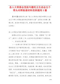 县人大常委会党组专题民主生活会五个带头对照检查材料范例通用3篇