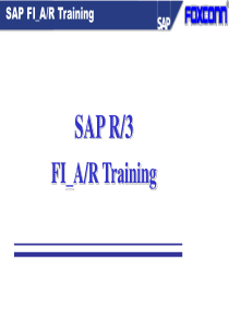 SAP-6_FI_AR