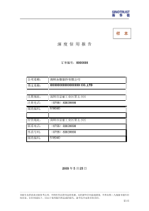 深度信用报告样本