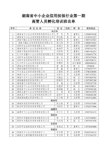 湖南省中小企业信用担保行业第一期高管人员孵化培训班名单-