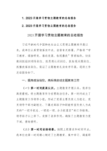 2023开展学习贯彻主题教育的总结报告范文2篇