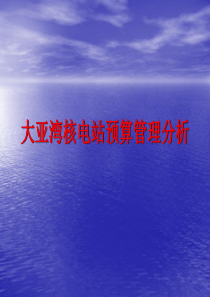 大亚湾核电站预算