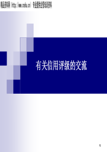 有关信用评级的交流(PPT32页)