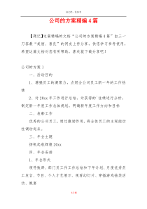 公司的方案精编4篇