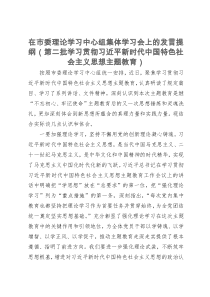 在市委理论学习中心组集体学习会上的发言提纲（第二批学习贯彻习近平新时代中国特色社会主义思想主题教