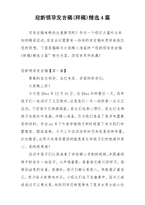 迎新领导发言稿(样稿)精选4篇