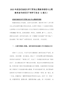 2023年派驻纪检组长学习贯彻主题教育感悟与主题教育读书班党员干部学习体会（2篇文）