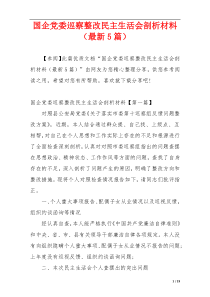 国企党委巡察整改民主生活会剖析材料（最新5篇）