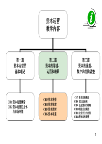 第4章资本投放