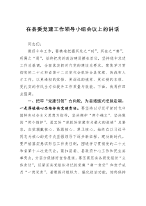 在县委党建工作领导小组会议上的讲话