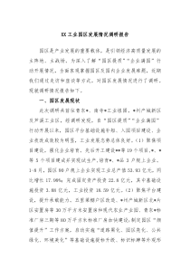 XX工业园区发展情况调研报告