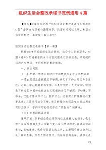 组织生活会整改承诺书范例通用4篇