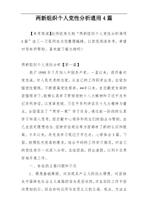 两新组织个人党性分析通用4篇