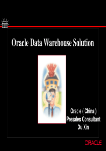 Oracle数据仓库解决方案 