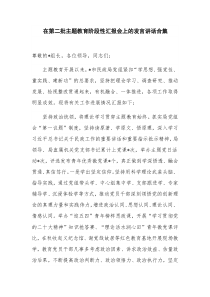 在第二批主题教育阶段性汇报会上的发言讲话合集