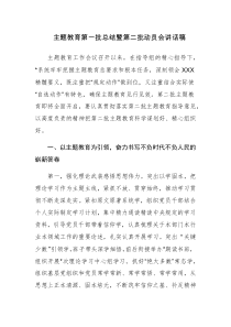 主题教育第一批总结暨第二批动员会讲话稿范文