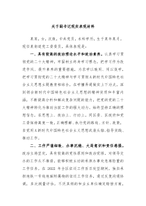 关于副书记现实表现材料