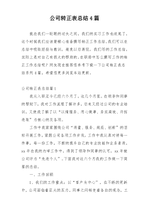 公司转正表总结4篇